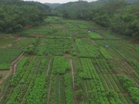 土地承包经营权民事起诉案例