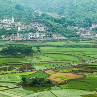 湖北南漳城关镇260水田寻求水稻示范 土地编号:8