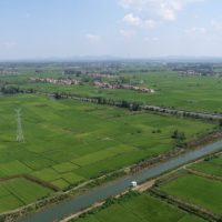 安徽省滁州明光市450亩水田水稻种植示范合作 土地编号:78