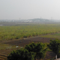 安徽省六安金安区420亩水田水稻种植示范合作 土地编号:83