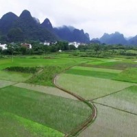 安徽省宣城市郎溪县1171亩水田寻求水稻示范种植合作 土地编号:157