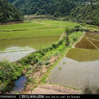 安徽省安庆怀宁县200亩水田寻求水稻种植示范合作 土地编号:213