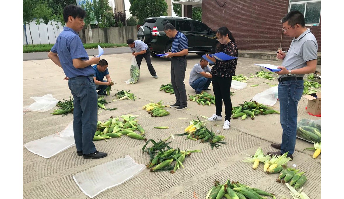 对品种进行外观评选，鲜食口感评选