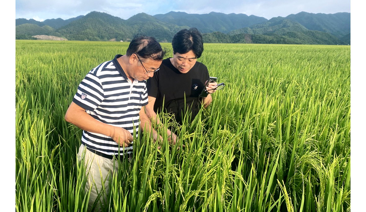 办出浙江特色，展现国企风采