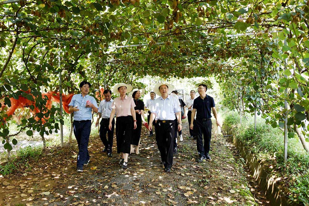 市委副书记佟桂莉、副市长王宏赴集团公司调研种业创新工作